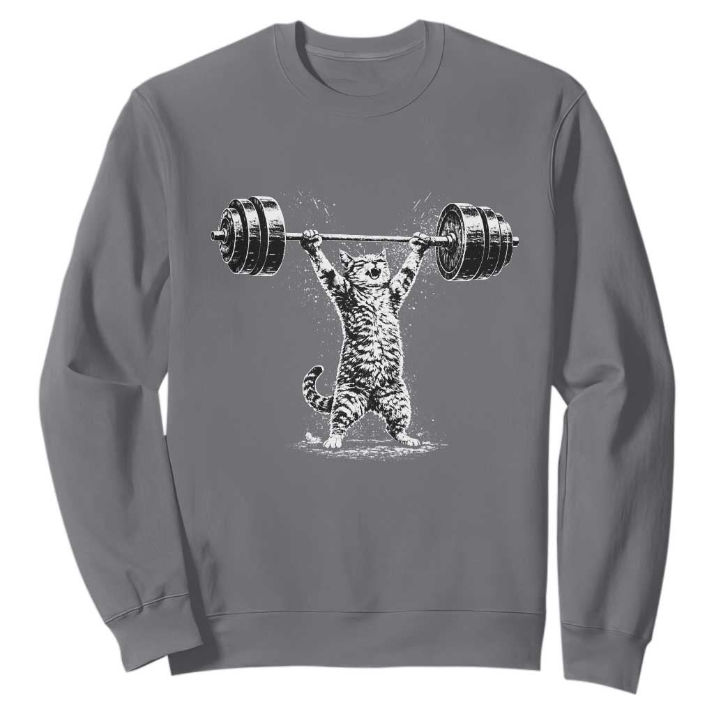 Funny Cat Gym Sweatshirt Weightlifting Workout TS10 Charcoal Print Your Wear