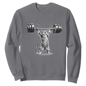 Funny Cat Gym Sweatshirt Weightlifting Workout TS10 Charcoal Print Your Wear