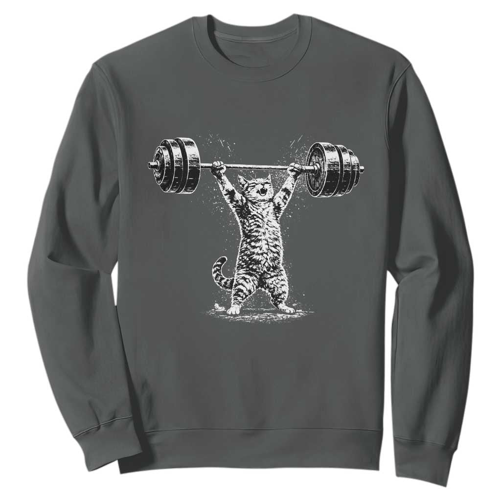 Funny Cat Gym Sweatshirt Weightlifting Workout TS10 Dark Heather Print Your Wear