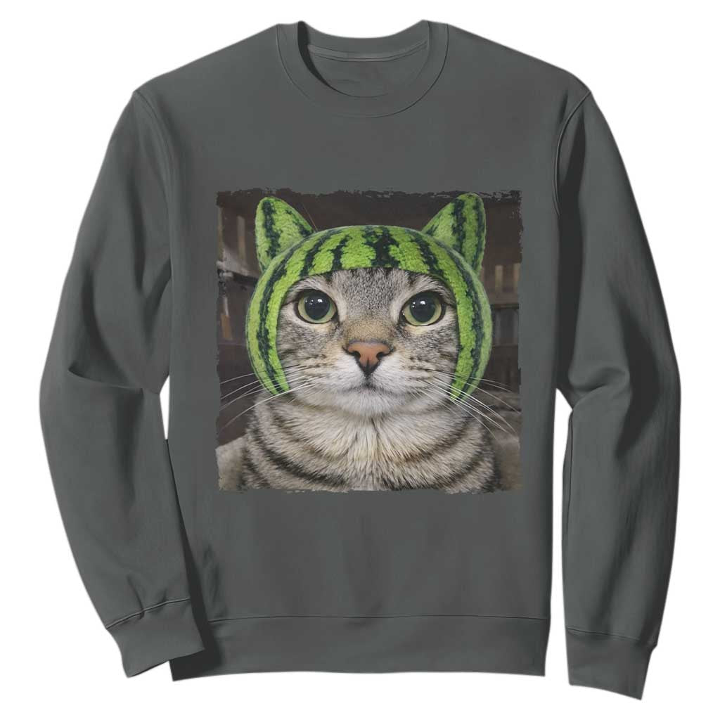 Watermelon Cat Silly Cat Meme Sweatshirt TS10 Dark Heather Print Your Wear