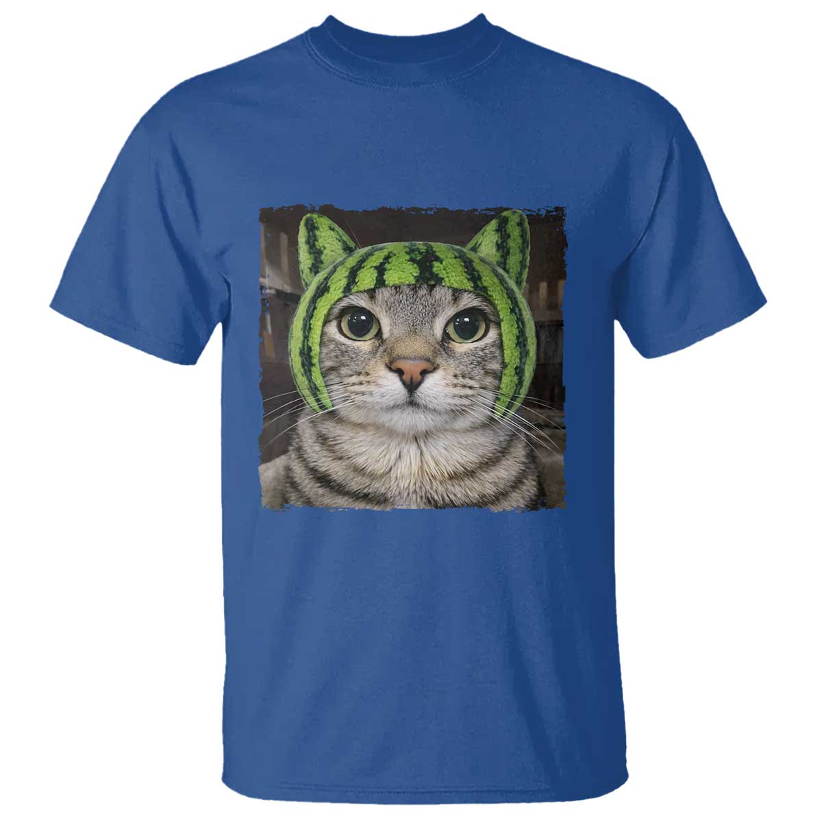 Watermelon Cat Silly Cat Meme T Shirt TS10 Royal Blue Print Your Wear