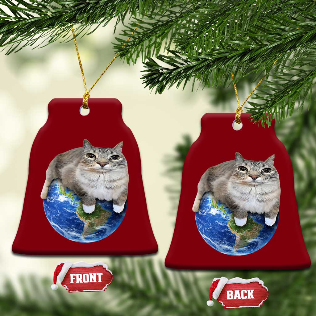 Earth Cat Silly Cat Meme Ceramic Ornament TS10 Print Your Wear