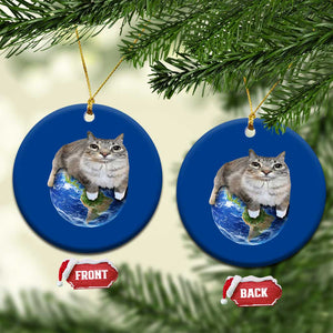 Earth Cat Silly Cat Meme Ceramic Ornament TS10 1pc Blue Print Your Wear