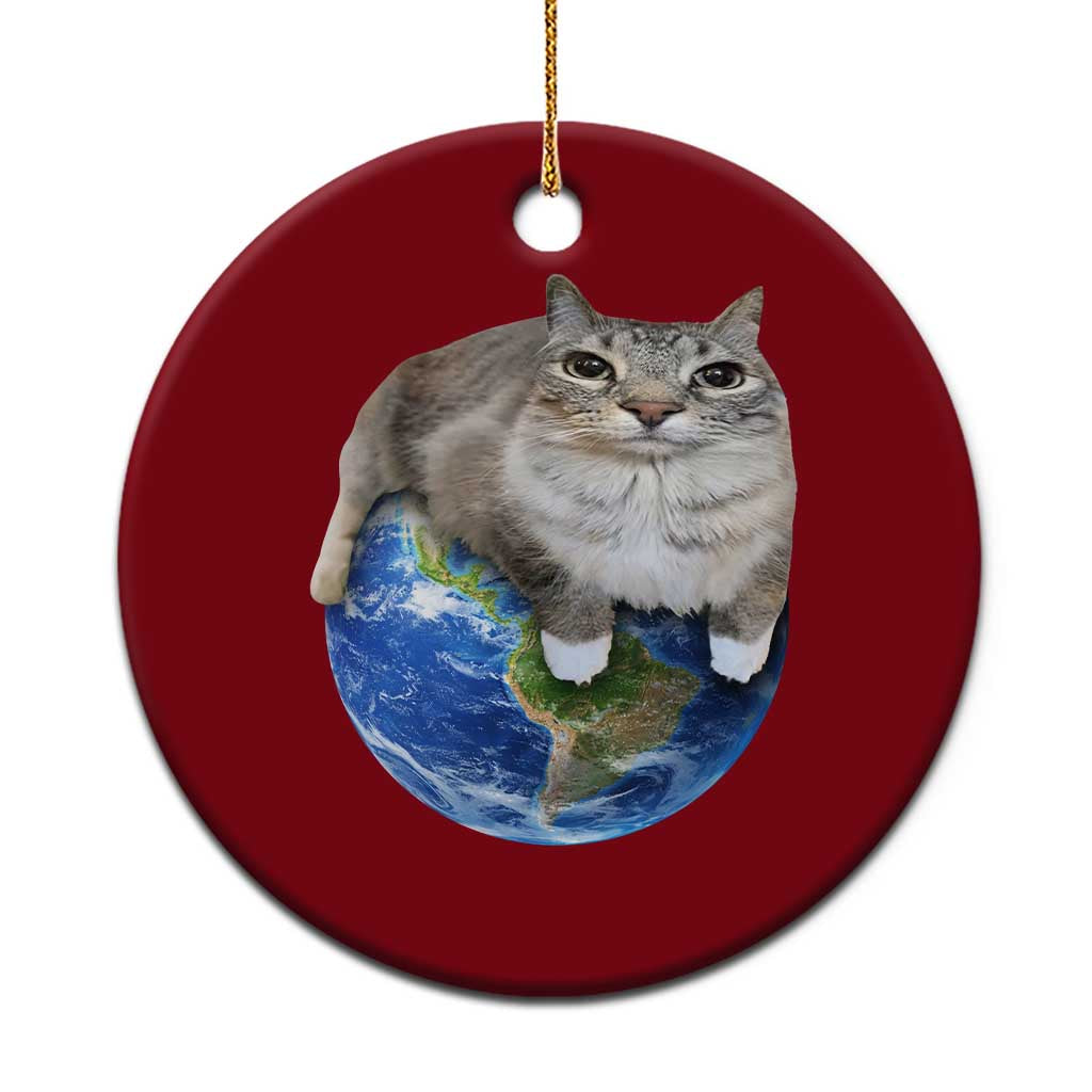 Earth Cat Silly Cat Meme Ceramic Ornament TS10 1pc Red Print Your Wear
