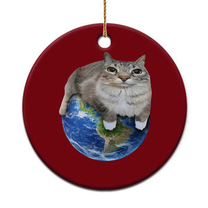 Earth Cat Silly Cat Meme Ceramic Ornament TS10 1pc Red Print Your Wear