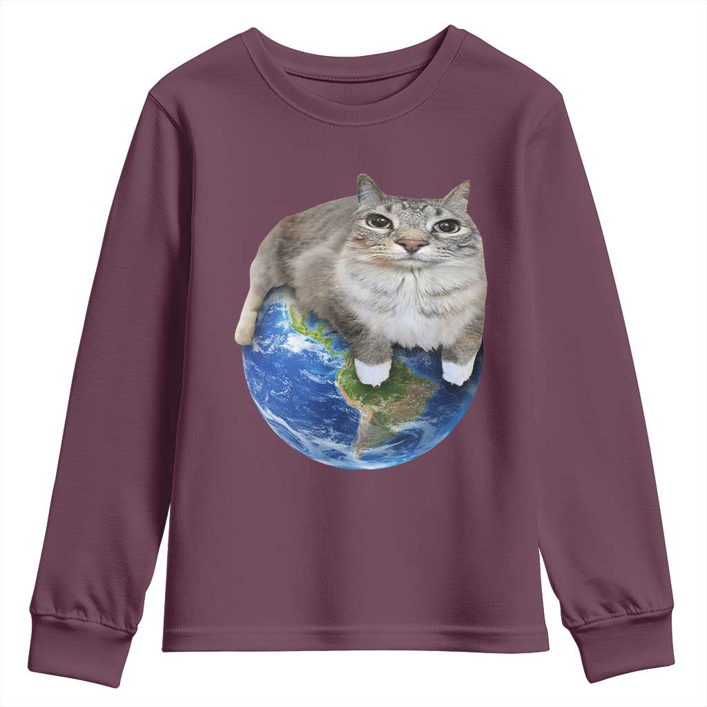 Earth Cat Silly Cat Meme Youth Sweatshirt TS10 Maroon Print Your Wear