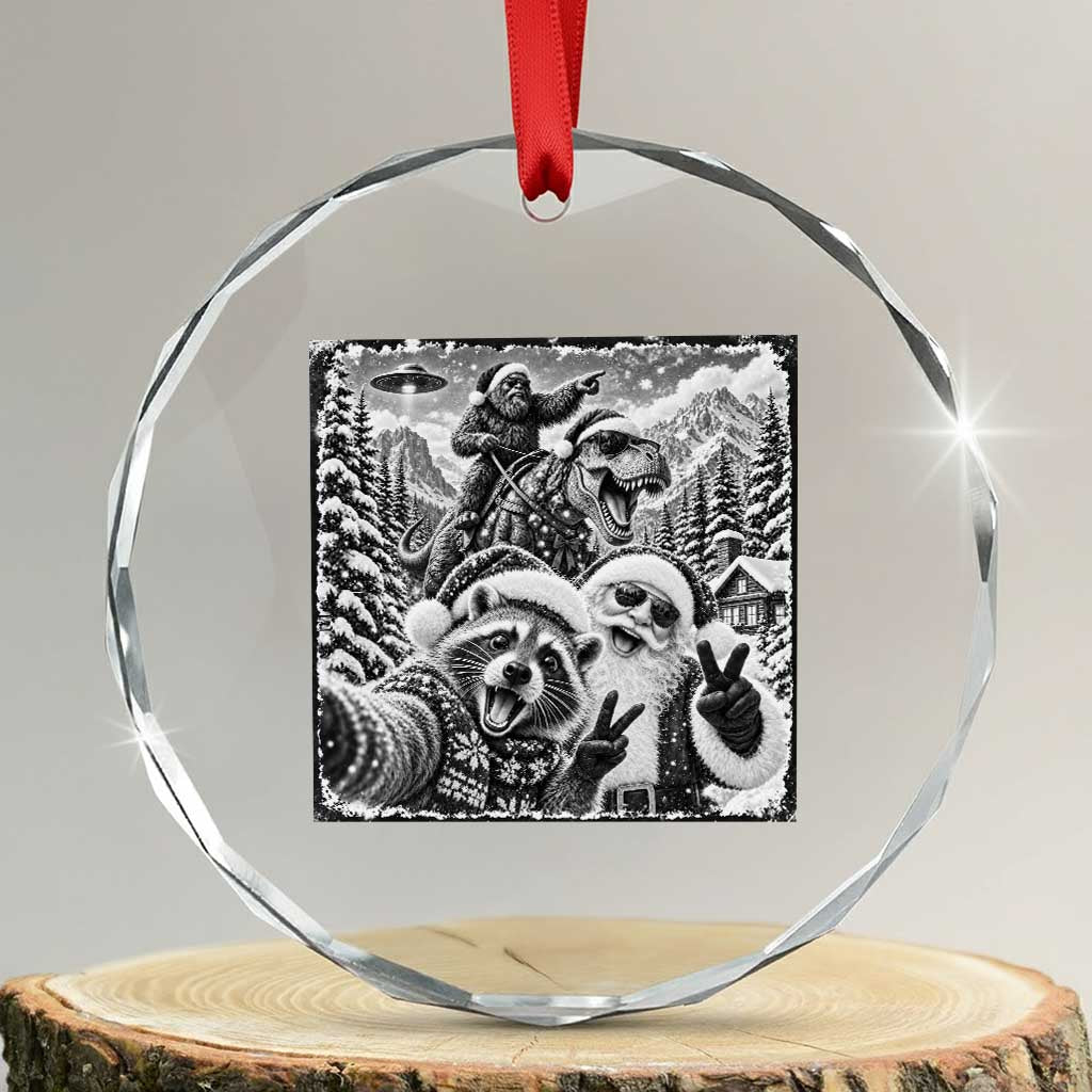 Christmas Raccoon Santa Bigfoot Dinosaur UFO Selfie Crystal Glass Ornament Funny Winter Holiday
