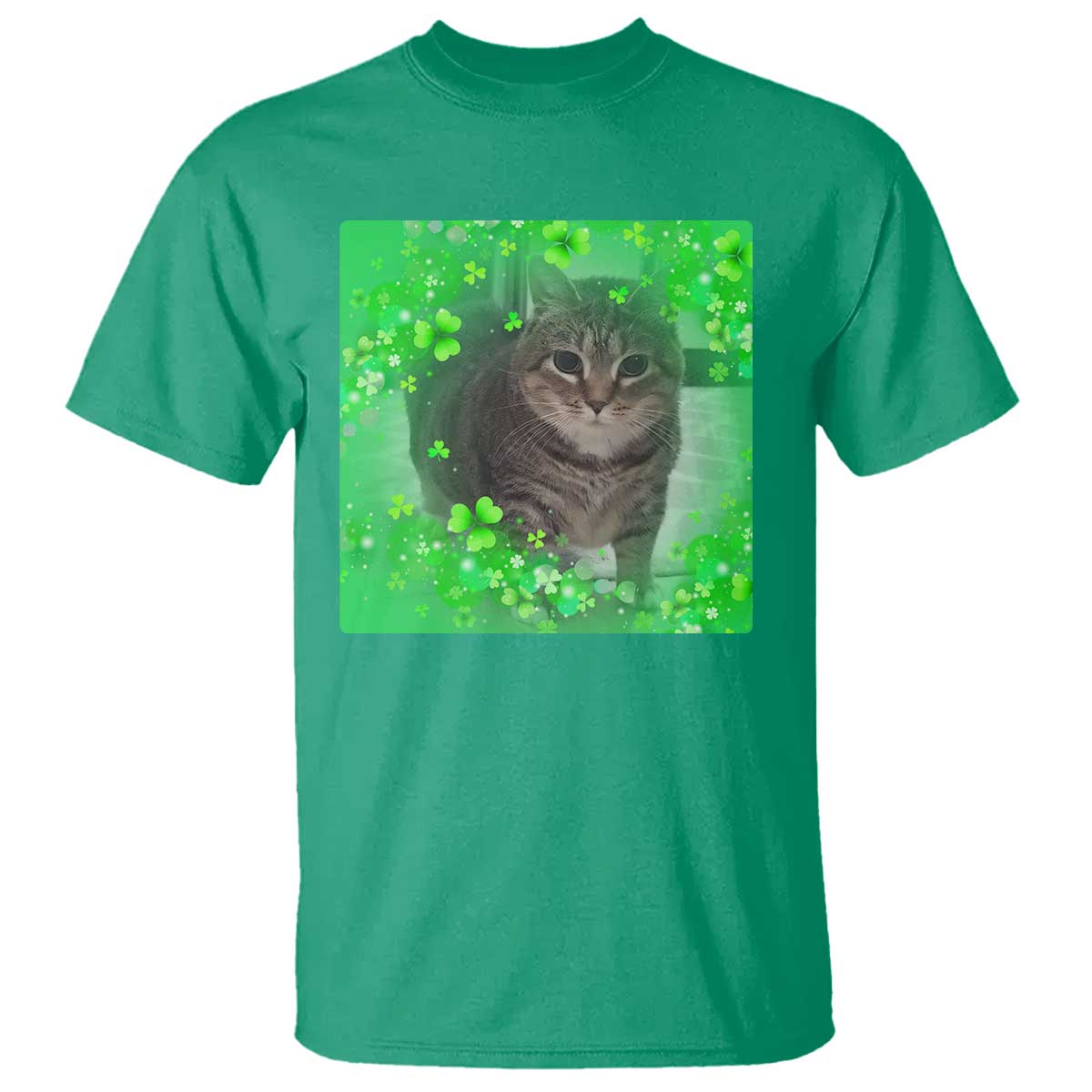 Funny Cat Meme St Patricks Day T Shirt Lucky Shamrock Goofy Ahh Cat TS10 Irish Green Print Your Wear