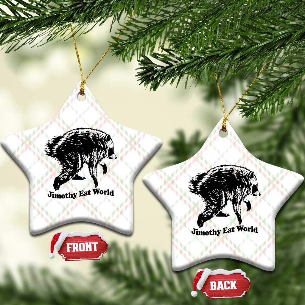 Jimothy Eat World Funny Viral Raccoon Seattle Trash Panda Ceramic Ornament TS10 Print Your Wear