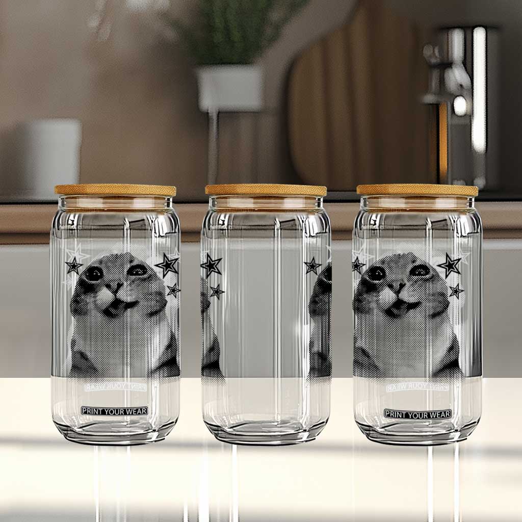 Funny Y2k Cat Meme Glass Can Vintage Retro Silly Cats Cats lover Gift TS10 Print Your Wear