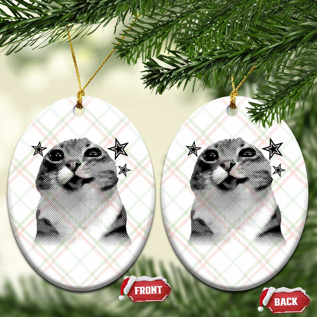 Funny Y2k Cat Meme Ceramic Ornament Vintage Retro Silly Cats Cats lover Gift TS10 Print Your Wear