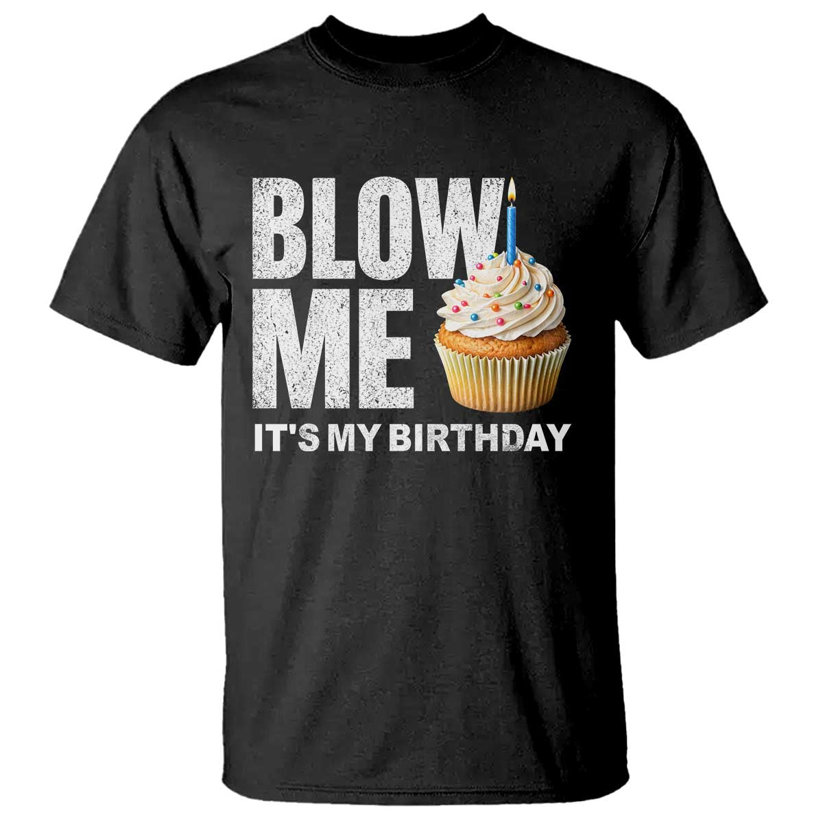 Blow Me Its My Birthday T Shirt Funny Adult Humor Dirty Jokes Bday Gag Gifts TS10 Black Print Your Wear