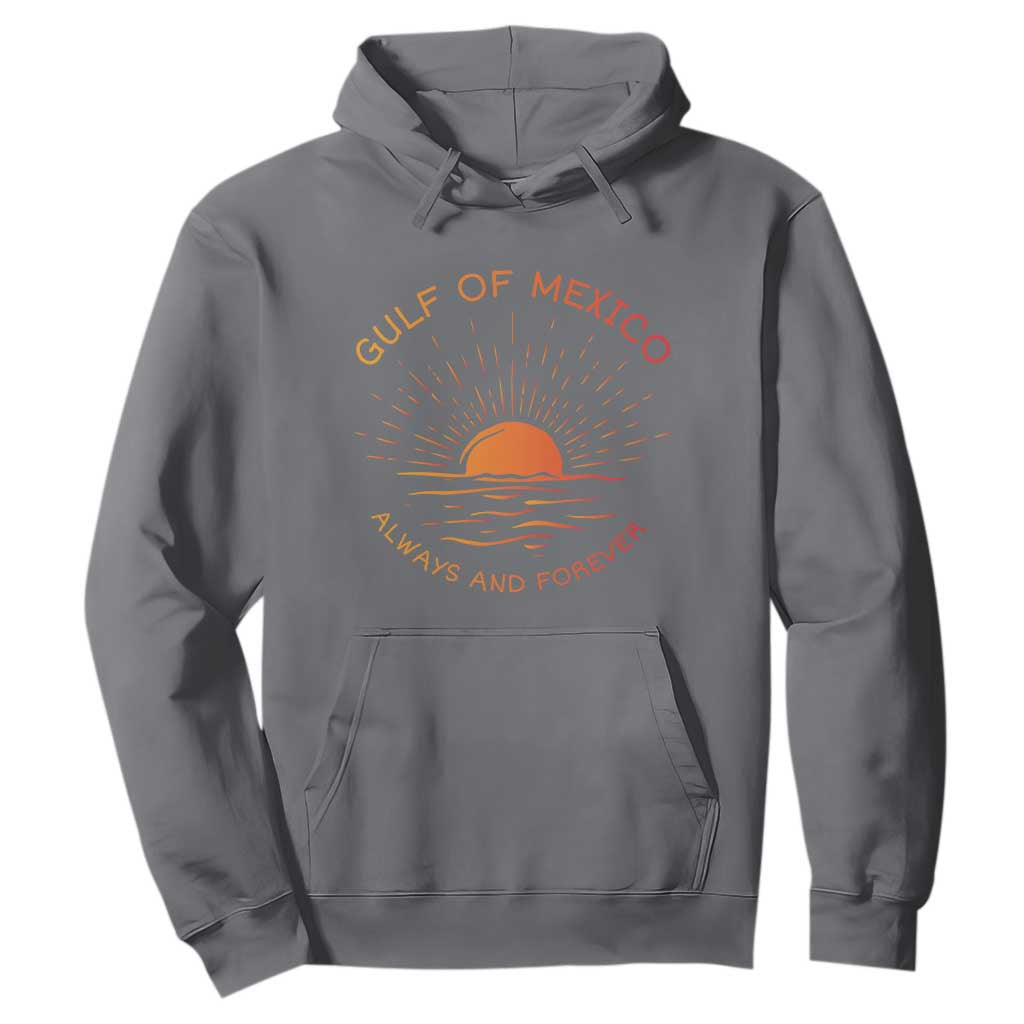 Gulf of Mexico Hoodie Always and Forever Sunny Vibes TS10 Charcoal Print Your Wear