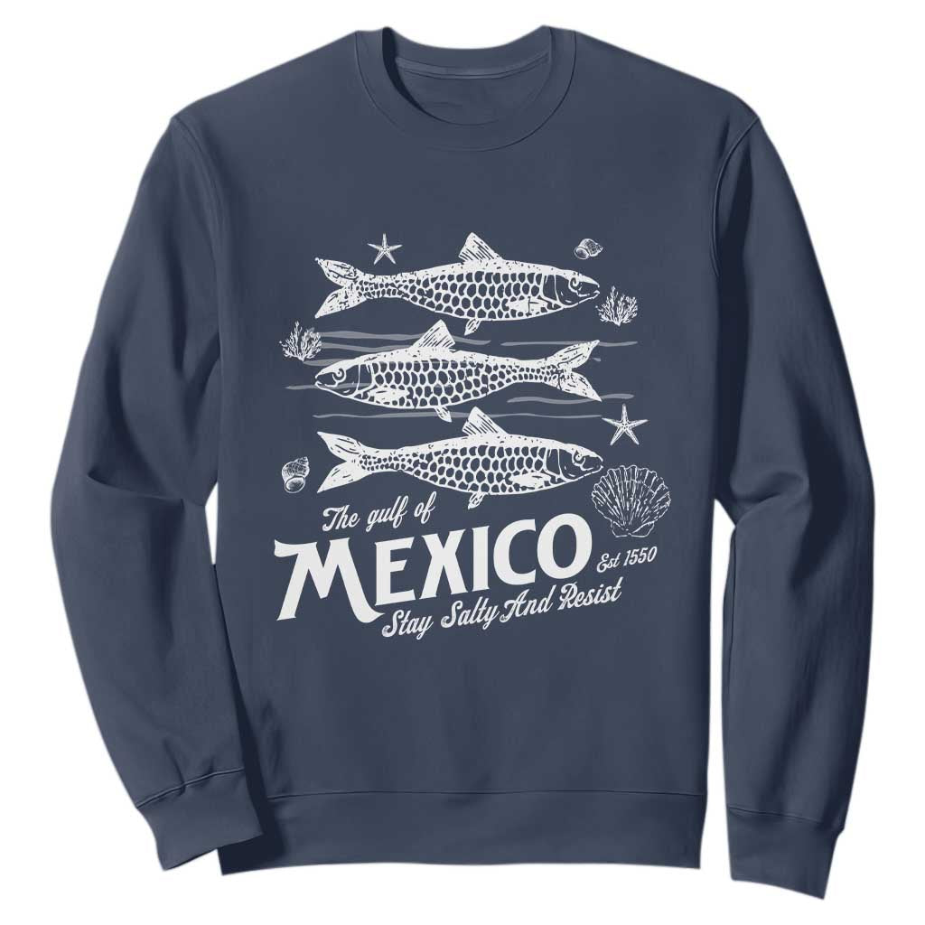 Gulf of Mexico Sweatshirt Golfo de México 1550 Texas Alabama Florida Beach TS10 Navy Print Your Wear