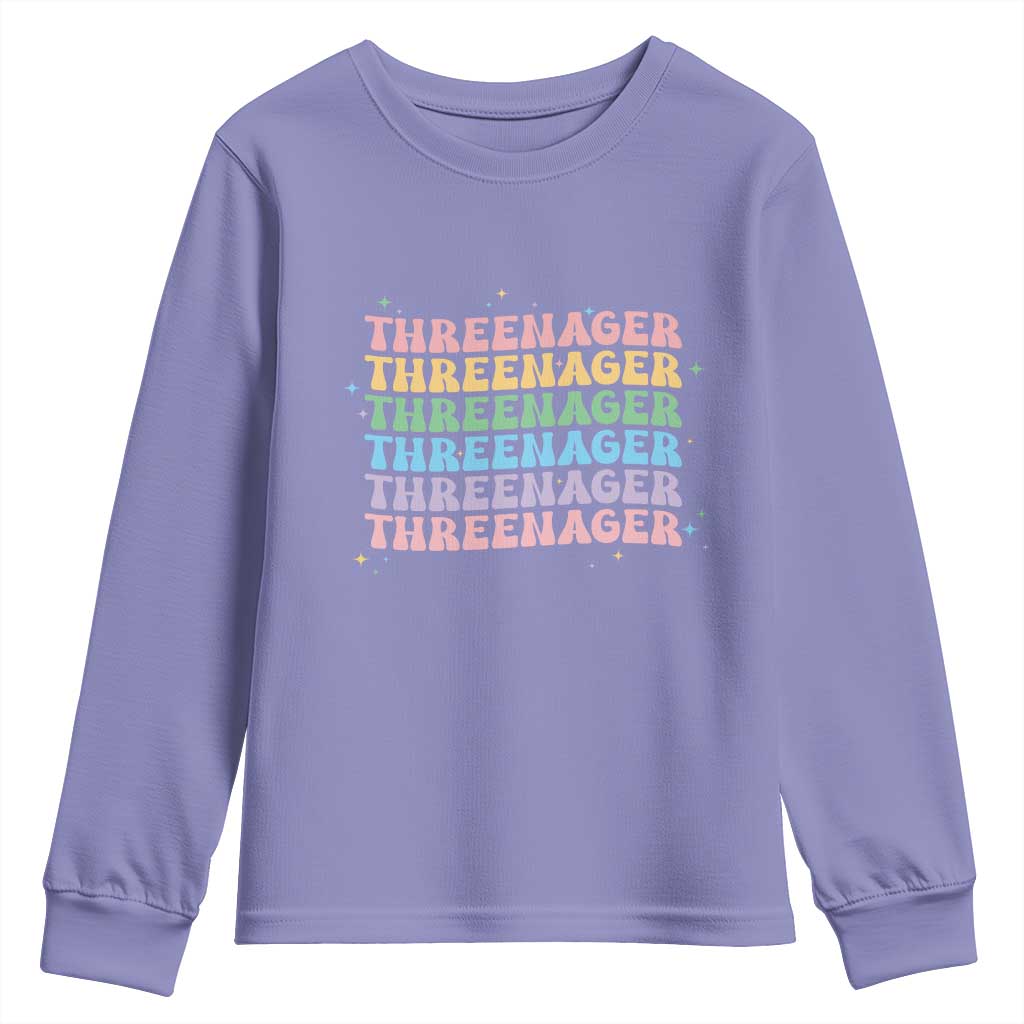 3rd Birthday Youth Sweatshirt Toddler Threenager 3 Years Old Birthday Outfit TS10 Violet Print Your Wear