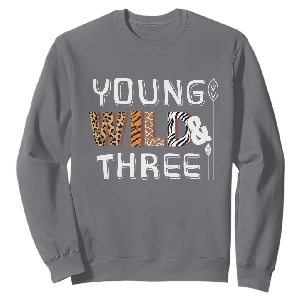3rd Birthday Sweatshirt Young Wild And Three Safari Zoo Party TS10 Charcoal Print Your Wear