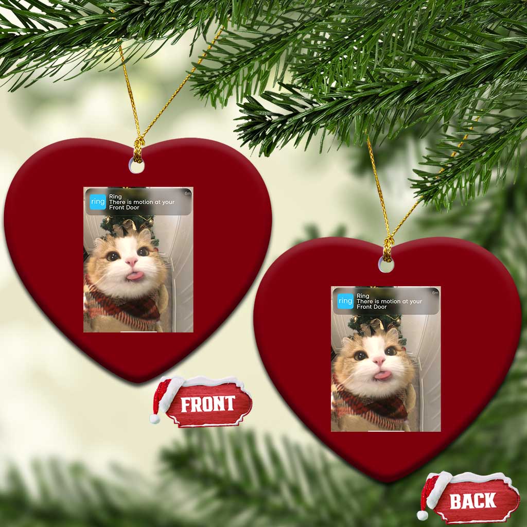Funny Cat Christmas Ceramic Ornament Ring There is Motion at Your Front Door Meme Xmas Tree TS10 Print Your Wear