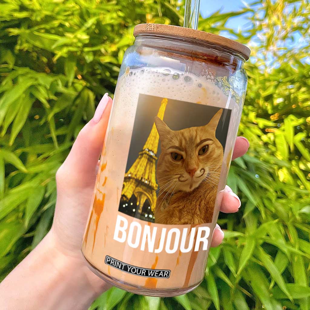 Funny Cat Bonjour Glass Can Paris France Eiffel Tower Orange Cat Meme TS10 Black Print Your Wear