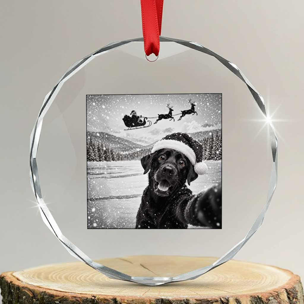 Funny Christmas Black Labrador Dog Selfie With Santa Crystal Glass Ornament Lab Lover Gift