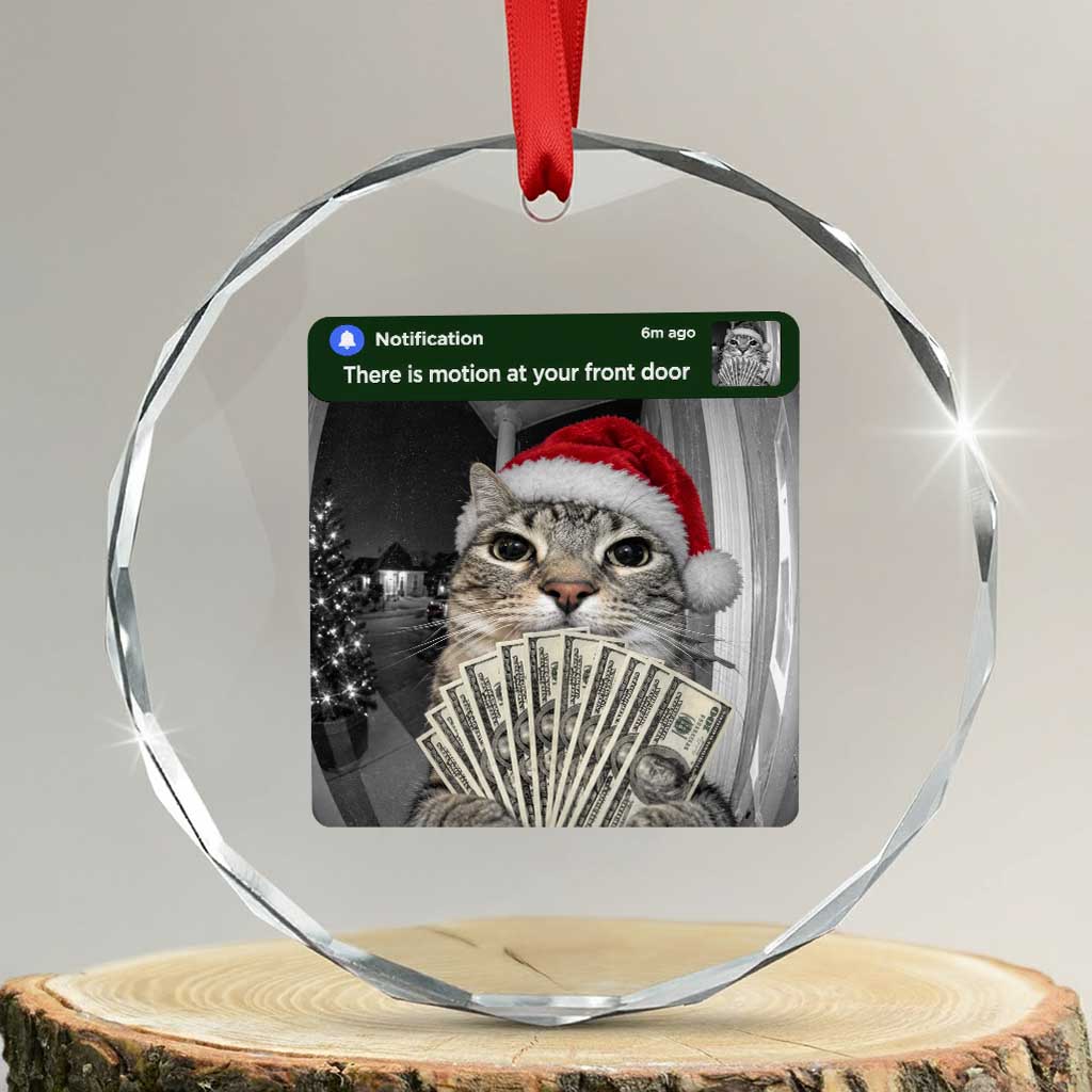 Christmas Cat Motion At Your Front Door Crystal Glass Ornament Funny Rich Cat Cash Doorbell Camera Meme
