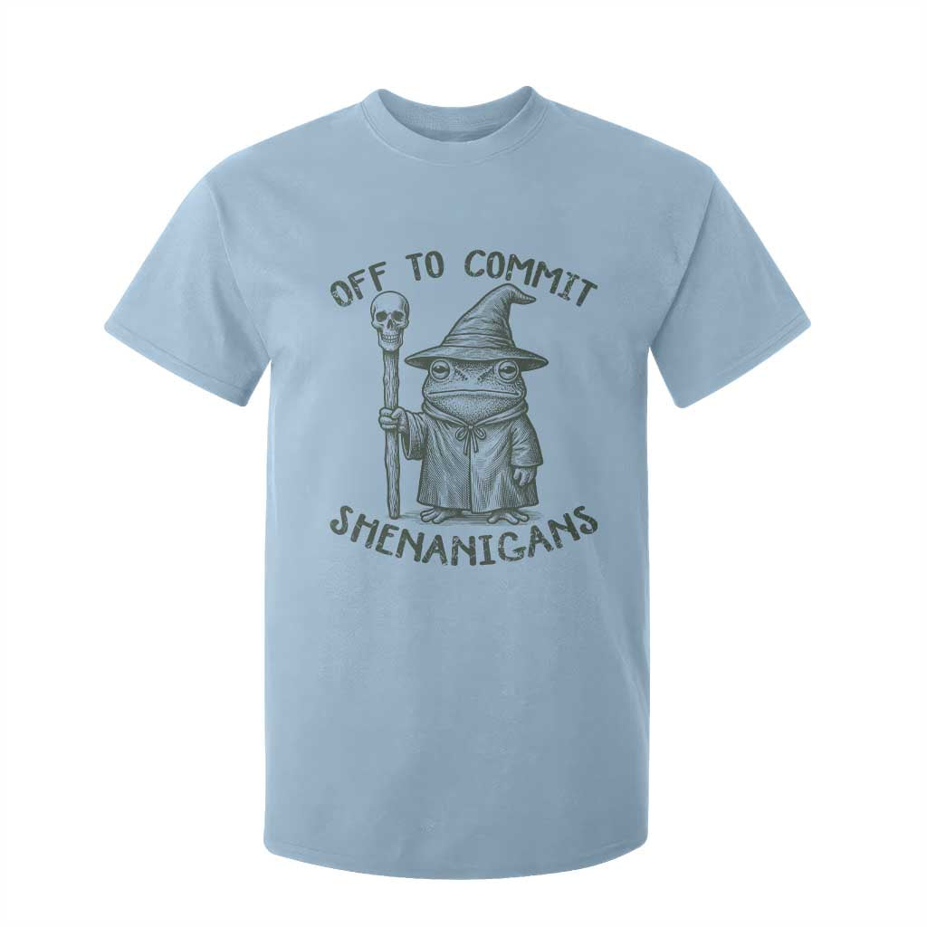 Wizard Frog T Shirt For Kid Funny Off to Commit Shenanigans TS10 Light Blue Print Your Wear