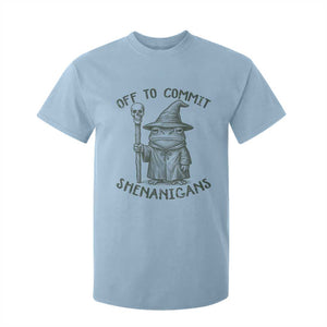 Wizard Frog T Shirt For Kid Funny Off to Commit Shenanigans TS10 Light Blue Print Your Wear