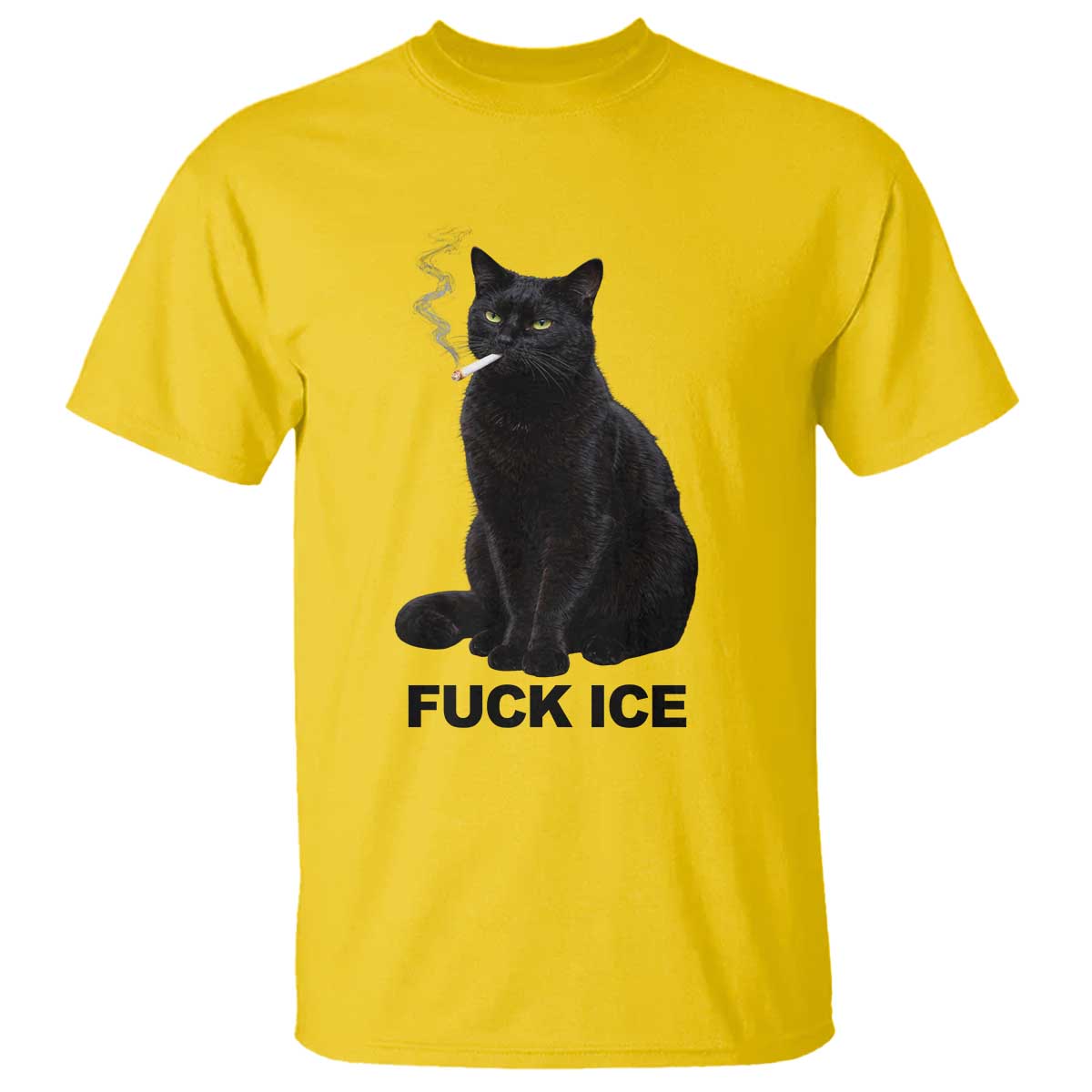 Fck Ice Smoking Cat T Shirt Subtle FDT Black Cat Meme TS10 Daisy Print Your Wear