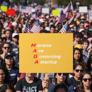 Morons Are Governing America Protest Sign TS10 Horizontal 18" × 24" Yellow Print Your Wear