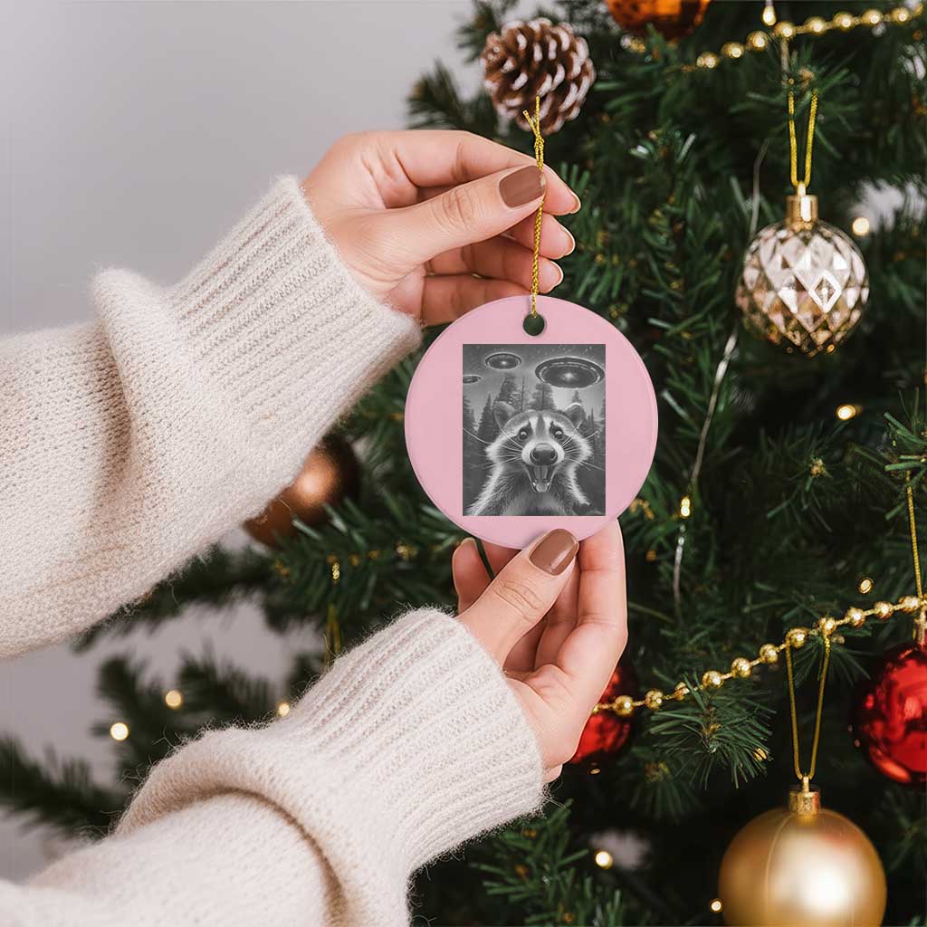 Racoon Meme Ceramic Ornament Selfie With Alien UFO TS10 1pc Light Pink Print Your Wear