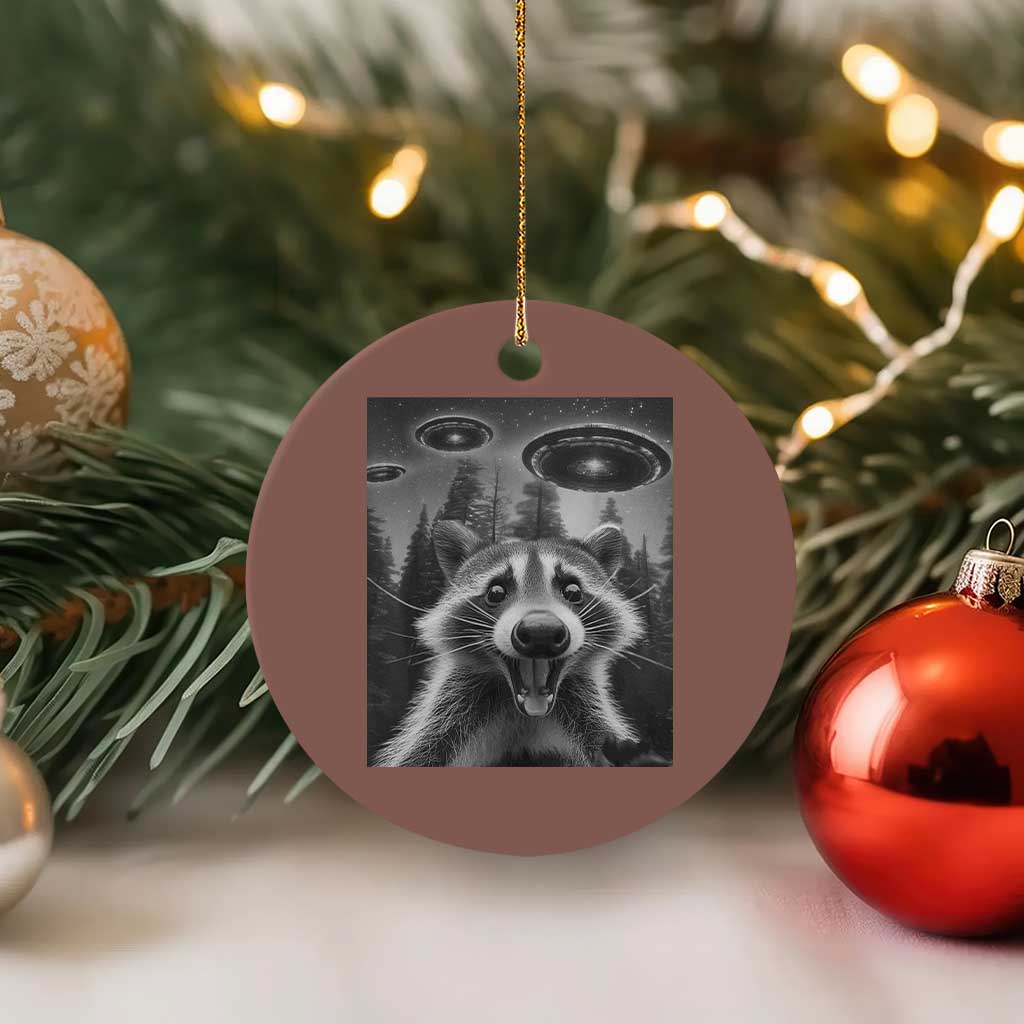 Racoon Meme Ceramic Ornament Selfie With Alien UFO TS10 1pc Mocha Print Your Wear
