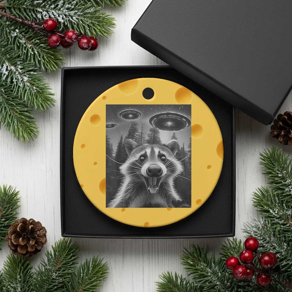 Racoon Meme Ceramic Ornament Selfie With Alien UFO TS10 1pc Yellow Cheese Print Your Wear