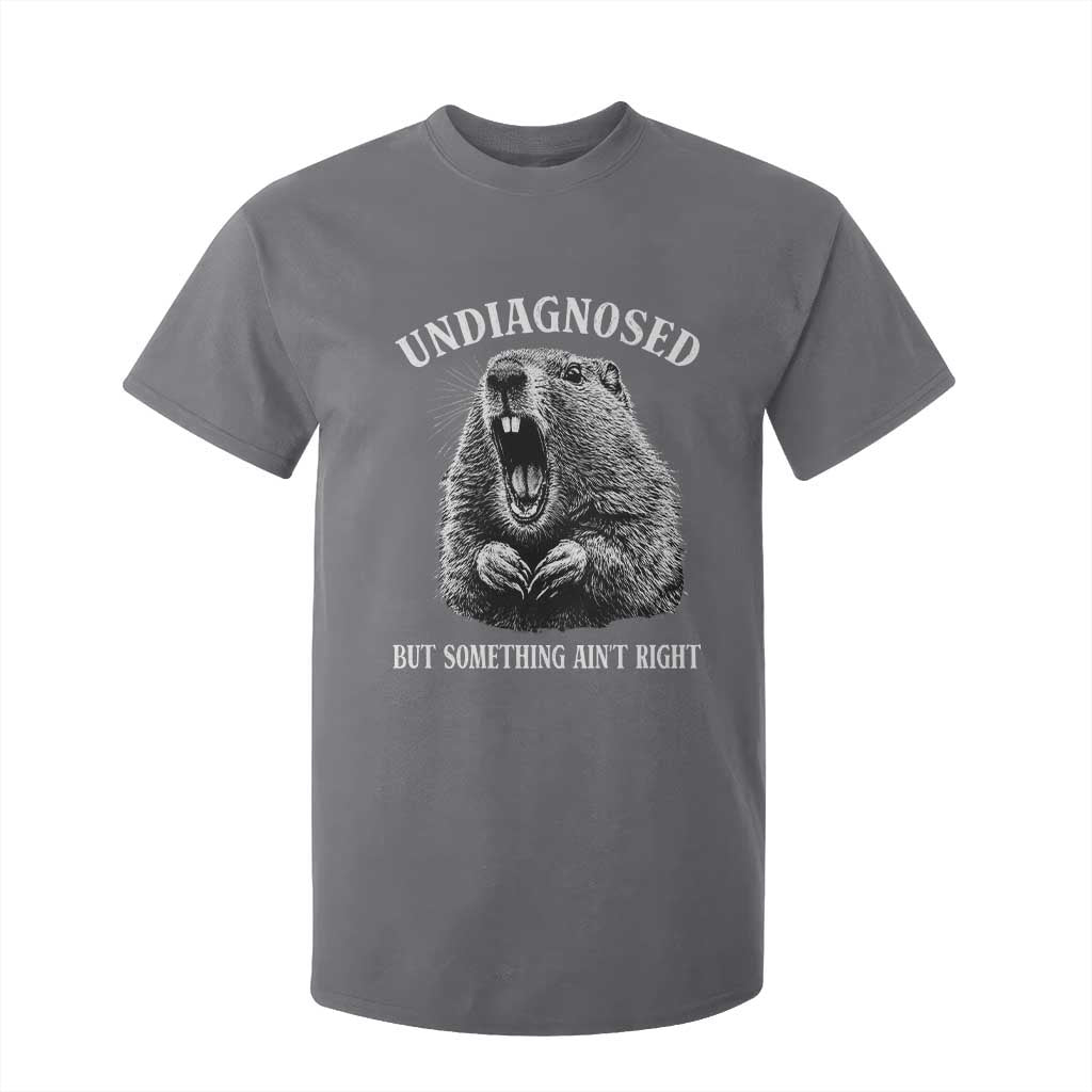 Funny Groundhog Meme Undiagnosed But Something Aint Right T Shirt For Kid TS10 Charcoal Print Your Wear
