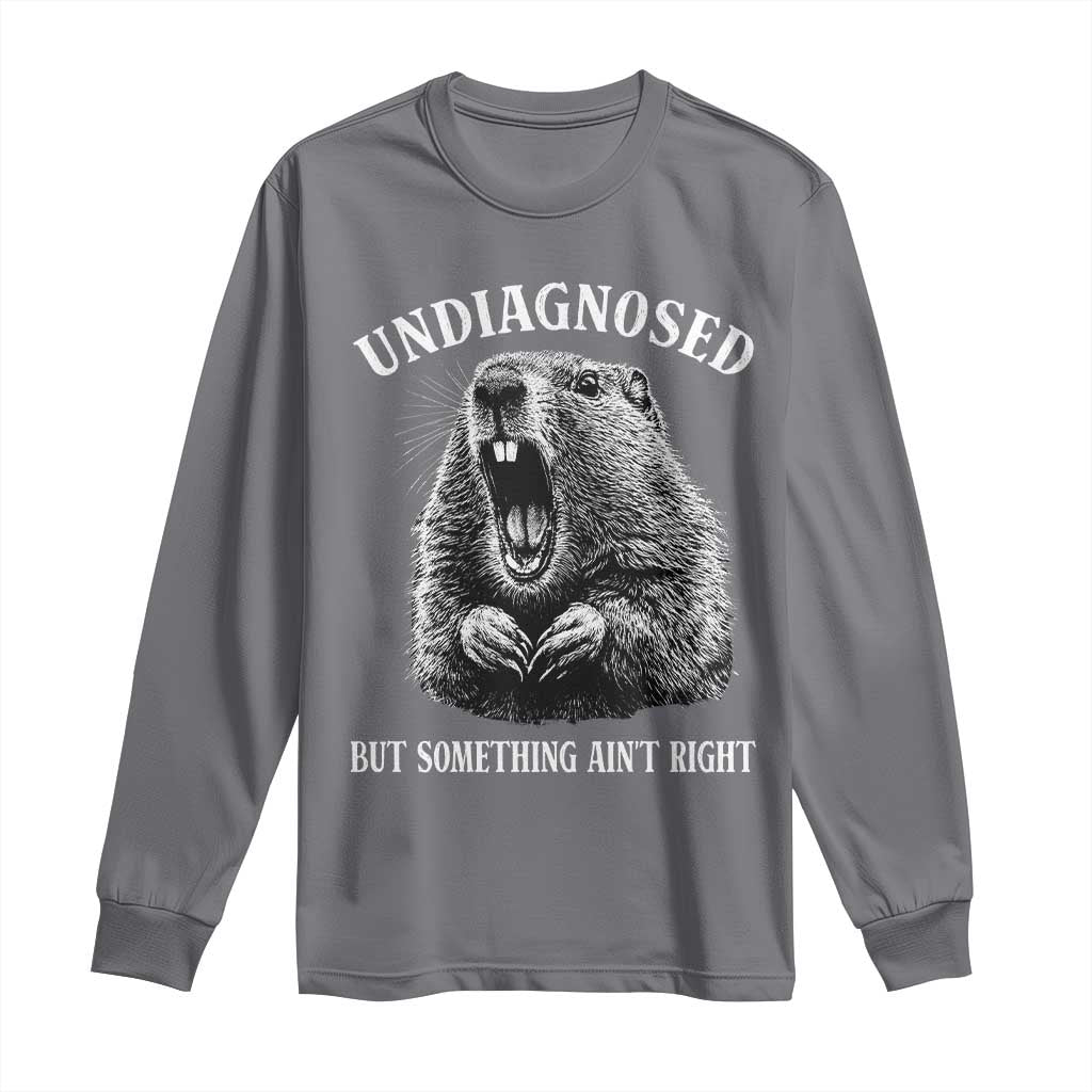 Funny Groundhog Meme Undiagnosed But Something Aint Right Long Sleeve Shirt TS10 Charcoal Print Your Wear