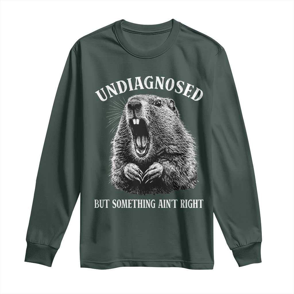 Funny Groundhog Meme Undiagnosed But Something Aint Right Long Sleeve Shirt TS10 Dark Forest Green Print Your Wear
