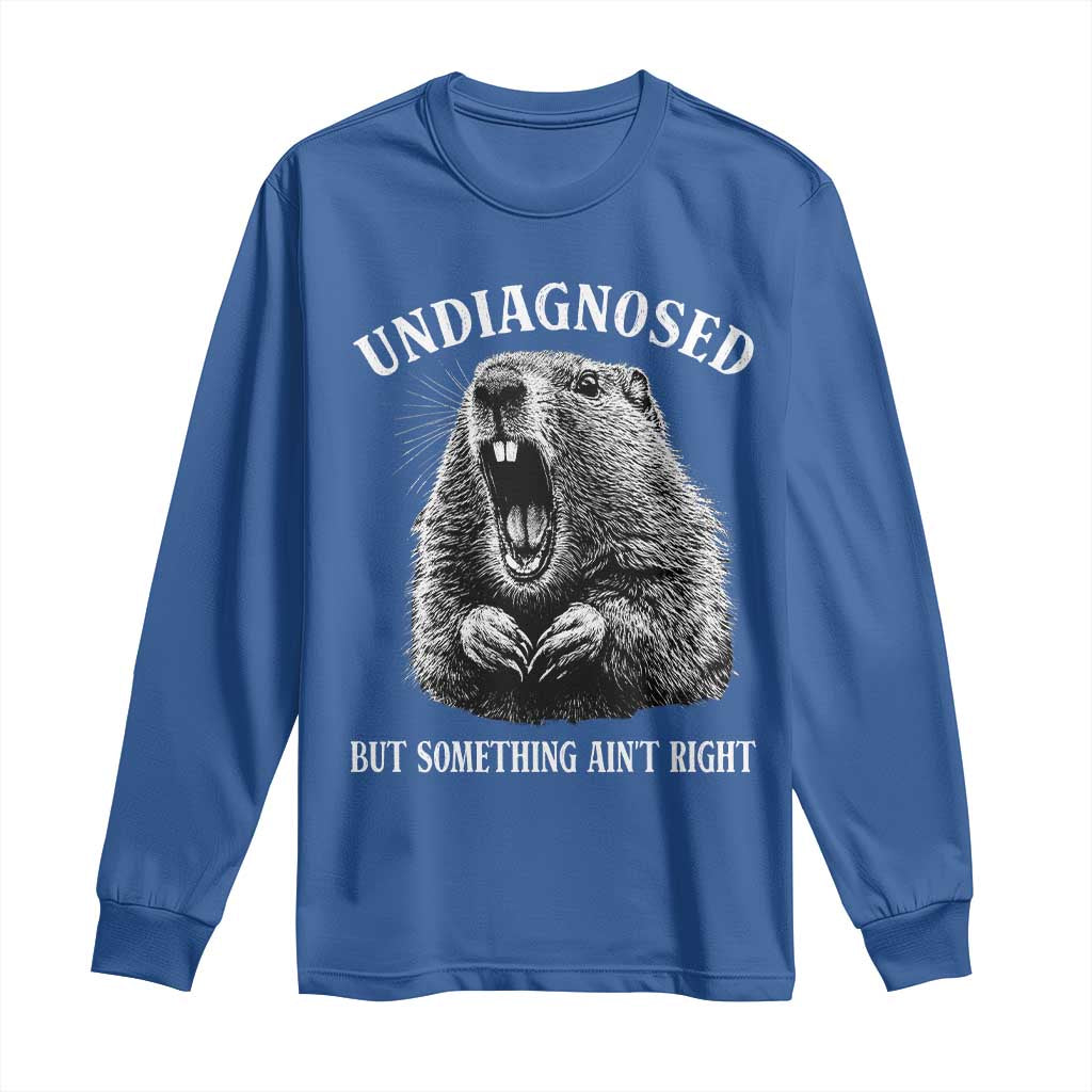 Funny Groundhog Meme Undiagnosed But Something Aint Right Long Sleeve Shirt TS10 Royal Blue Print Your Wear