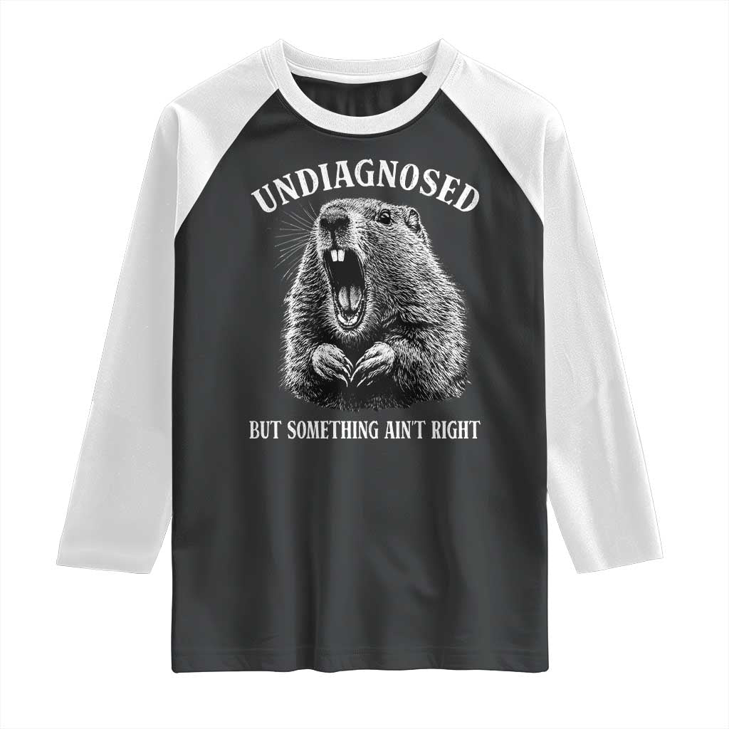 Funny Groundhog Meme Undiagnosed But Something Aint Right Raglan Shirt TS10 Black White Print Your Wear
