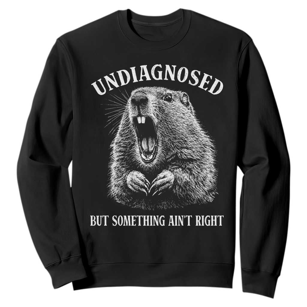 Funny Groundhog Meme Undiagnosed But Something Aint Right Sweatshirt TS10 Black Print Your Wear