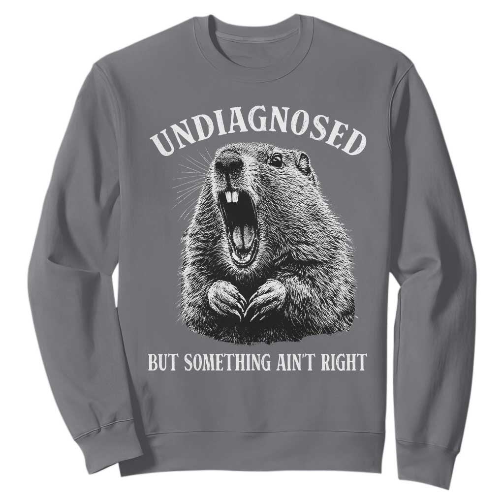 Funny Groundhog Meme Undiagnosed But Something Aint Right Sweatshirt TS10 Charcoal Print Your Wear