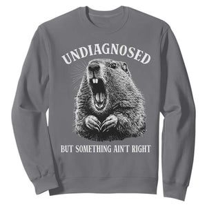 Funny Groundhog Meme Undiagnosed But Something Aint Right Sweatshirt TS10 Charcoal Print Your Wear