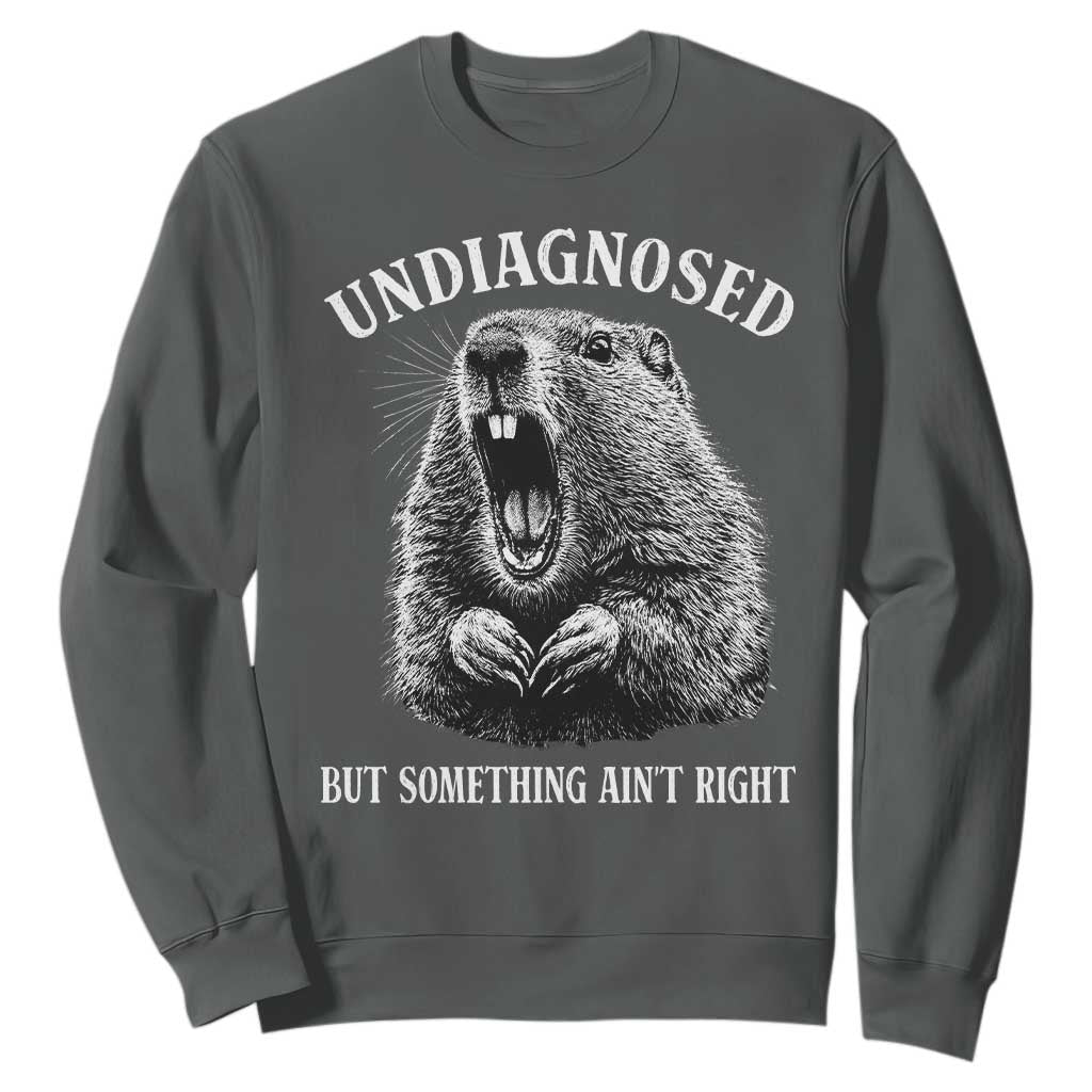 Funny Groundhog Meme Undiagnosed But Something Aint Right Sweatshirt TS10 Dark Heather Print Your Wear