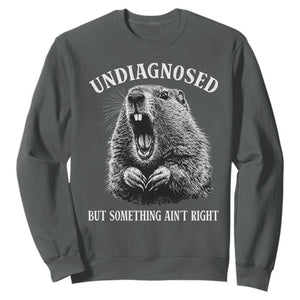 Funny Groundhog Meme Undiagnosed But Something Aint Right Sweatshirt TS10 Dark Heather Print Your Wear