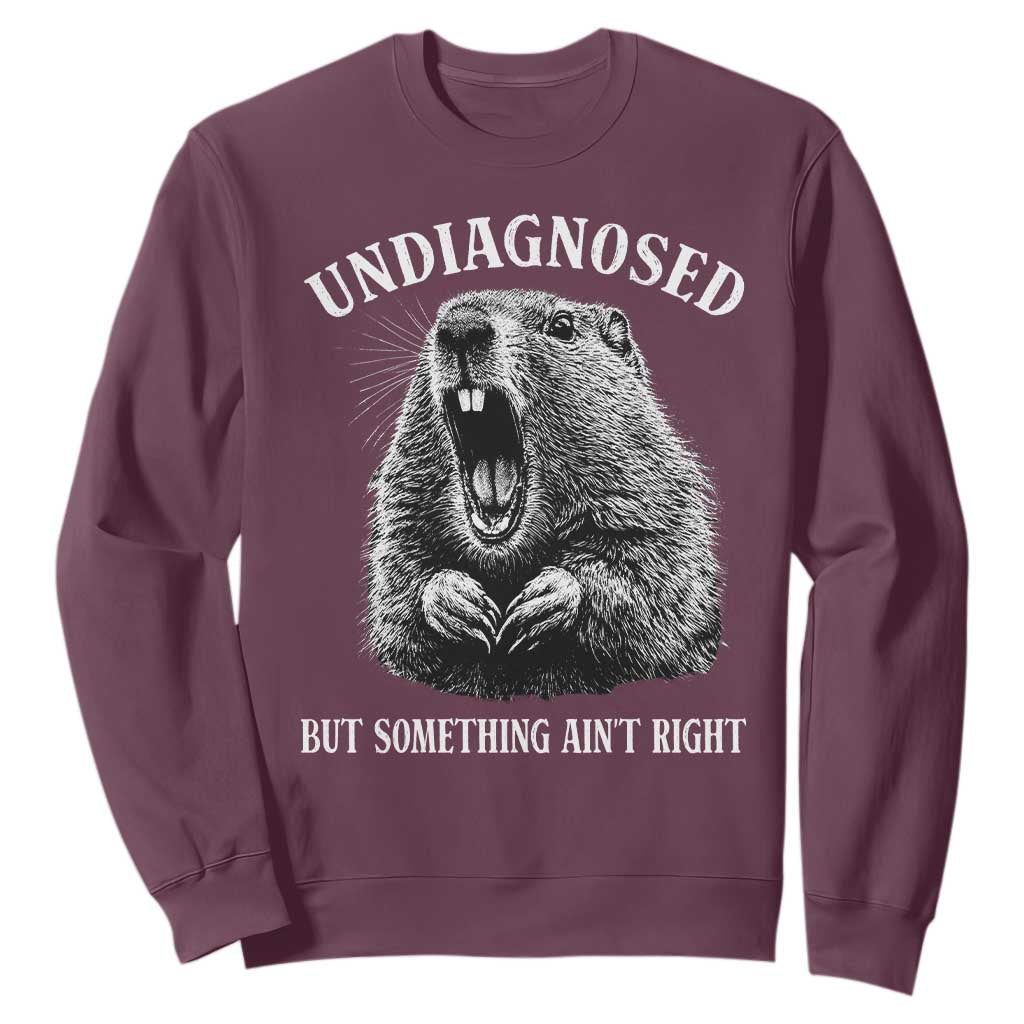 Funny Groundhog Meme Undiagnosed But Something Aint Right Sweatshirt TS10 Maroon Print Your Wear