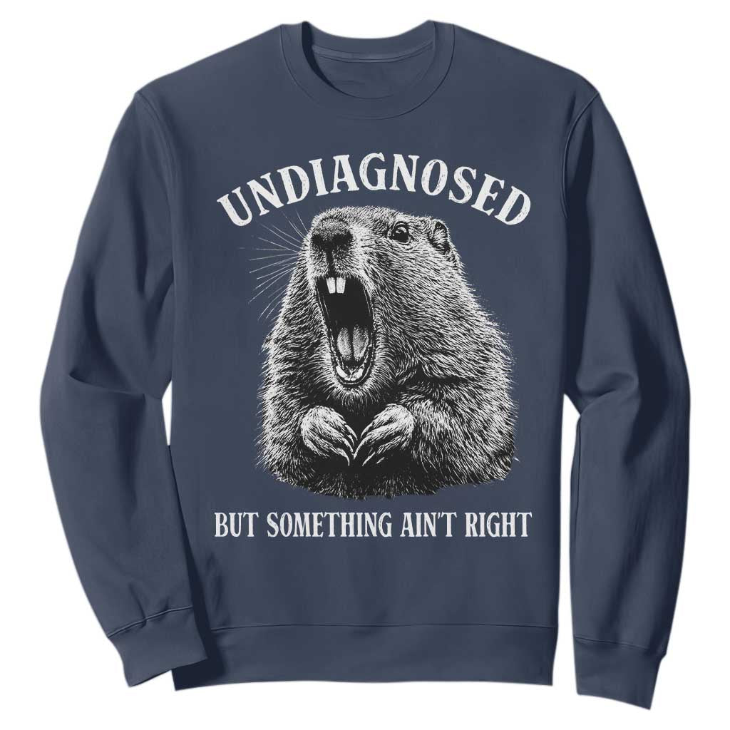 Funny Groundhog Meme Undiagnosed But Something Aint Right Sweatshirt TS10 Navy Print Your Wear