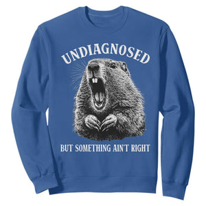 Funny Groundhog Meme Undiagnosed But Something Aint Right Sweatshirt TS10 Royal Blue Print Your Wear