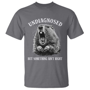 Funny Groundhog Meme Undiagnosed But Something Aint Right T Shirt TS10 Charcoal Print Your Wear