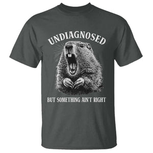 Funny Groundhog Meme Undiagnosed But Something Aint Right T Shirt TS10 Dark Heather Print Your Wear