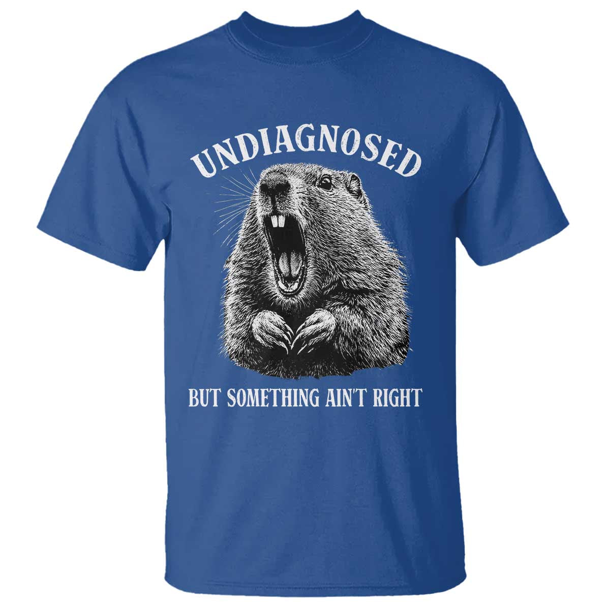 Funny Groundhog Meme Undiagnosed But Something Aint Right T Shirt TS10 Royal Blue Print Your Wear