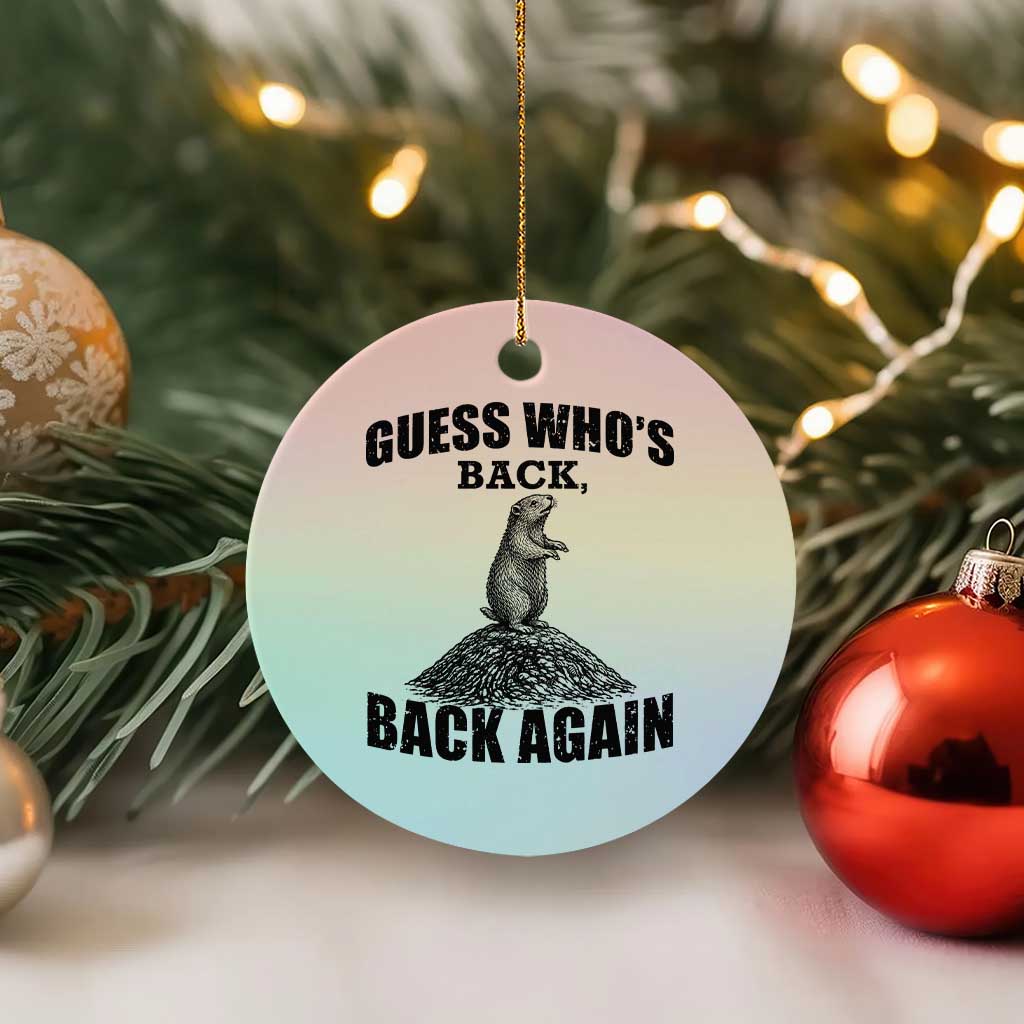 Funny Groundhog Day Ceramic Ornament Retro Guess Whos Back TS10 1pc Pastel Print Your Wear