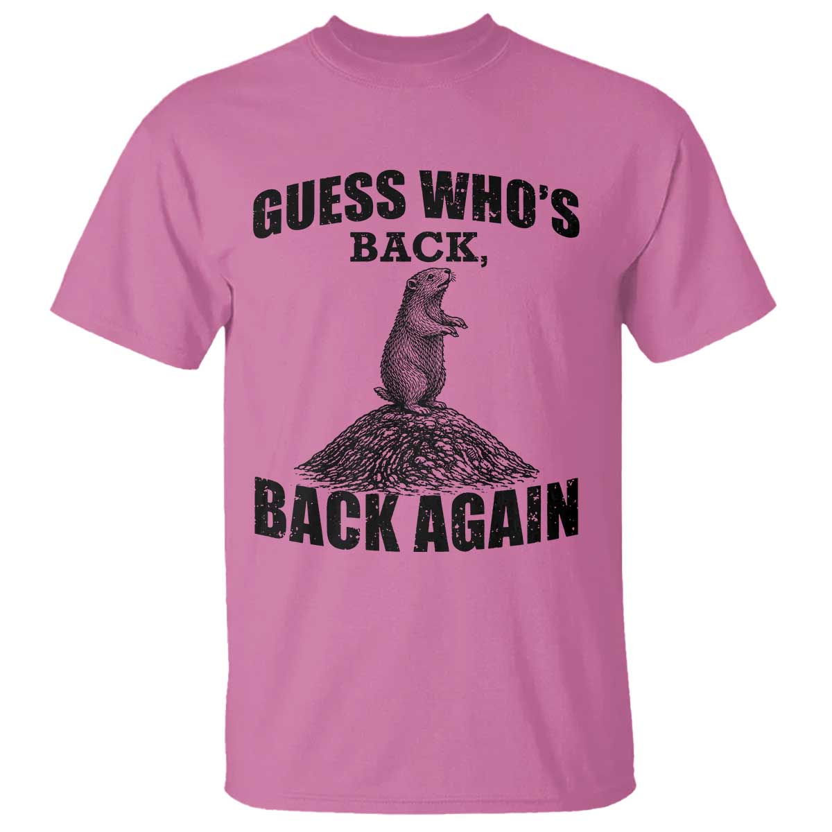 Funny Groundhog Day T Shirt Retro Guess Whos Back TS10 Azalea Print Your Wear