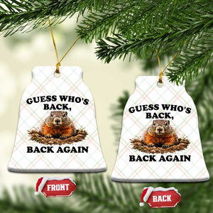 Groundhog Day Ceramic Ornament Funny Woodchuck Guess Whos Back TS10 Print Your Wear